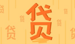 探究网贷平台高额信贷额度之谜